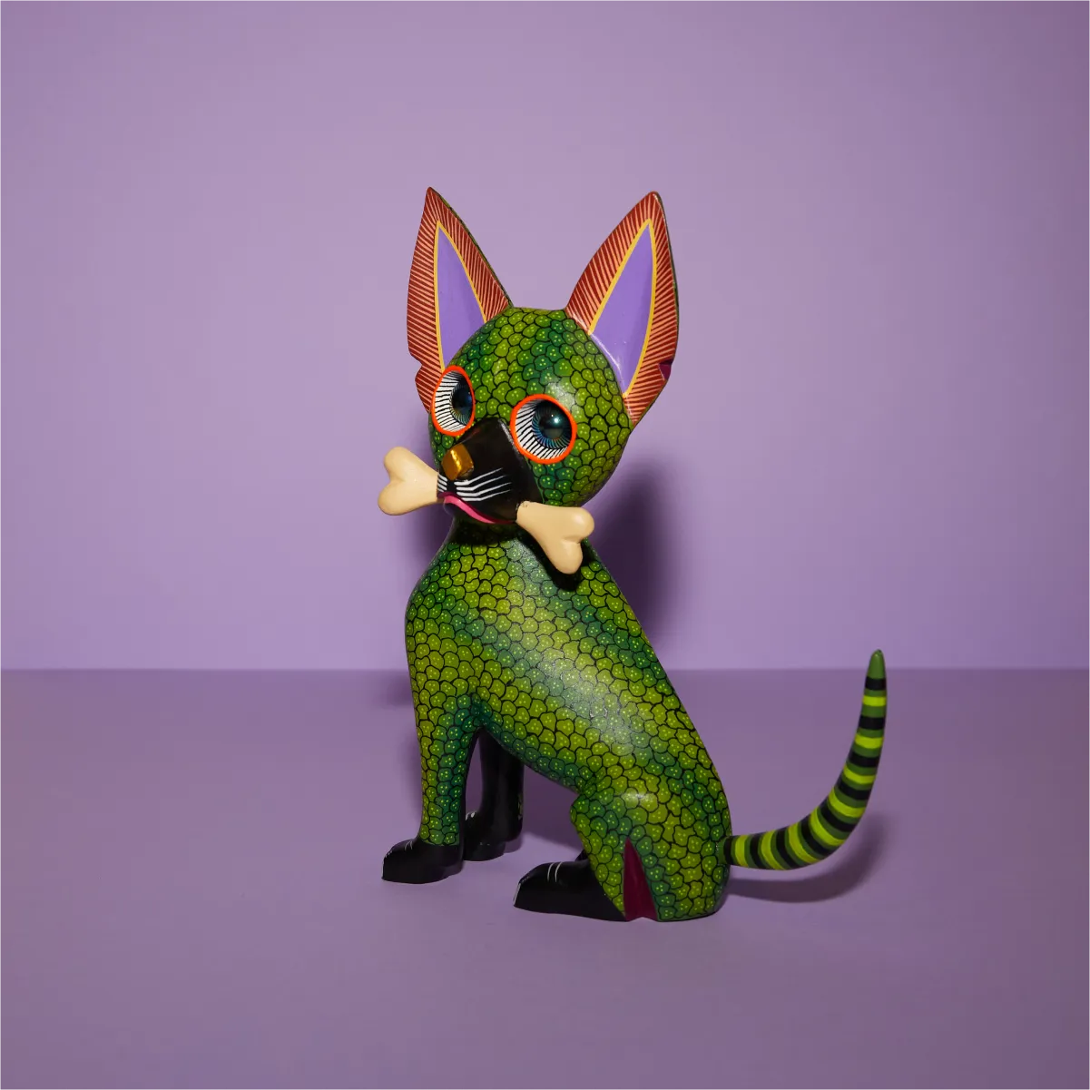 Chihuahua con hueso lado