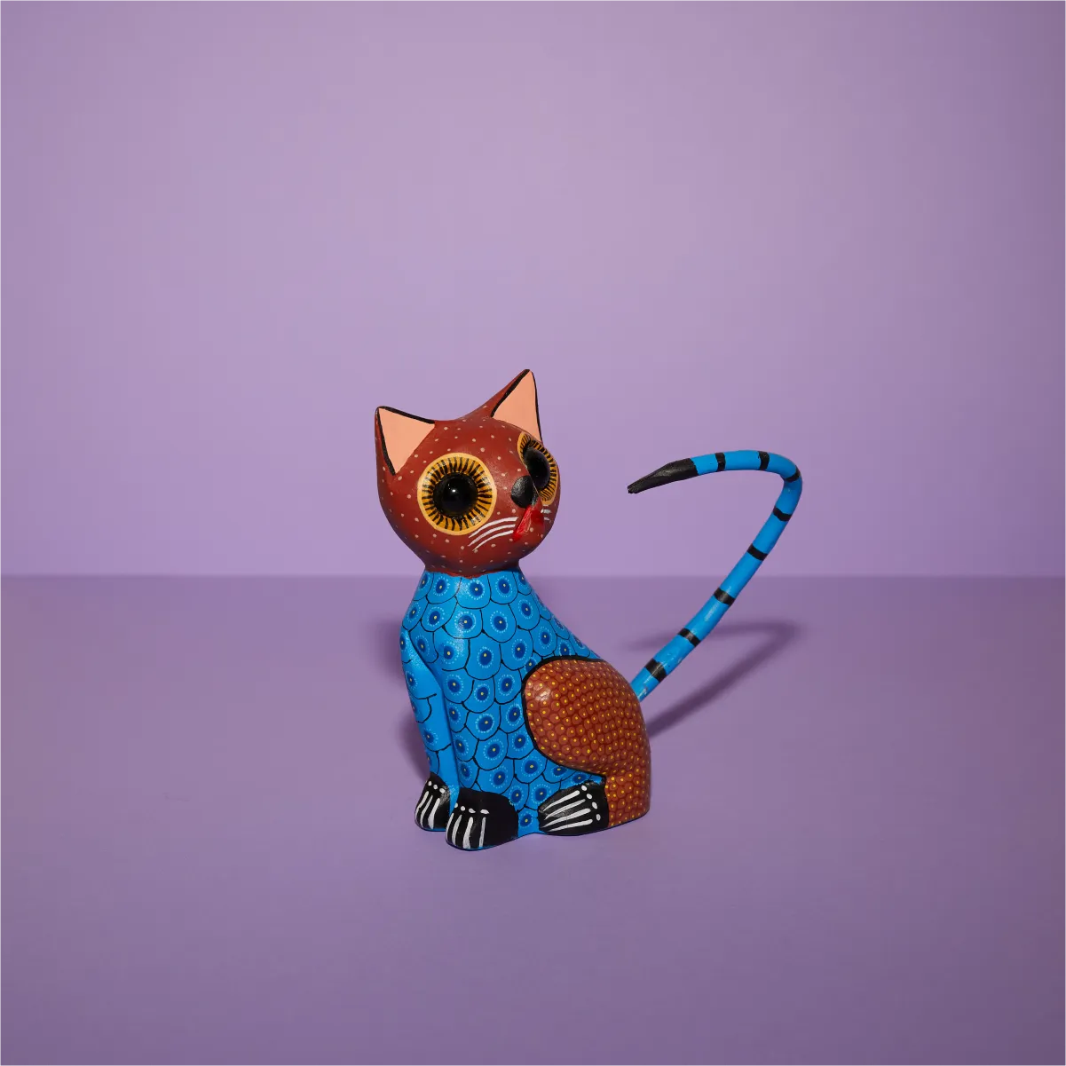 Gato ojotes marrón azul delantera