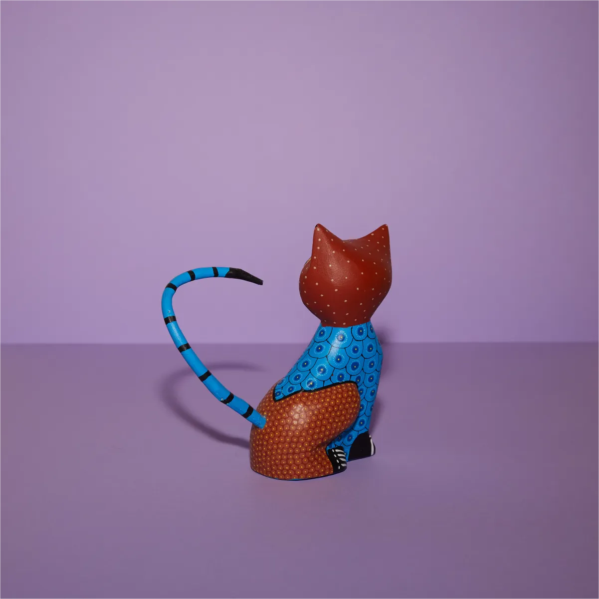 Gato ojotes marrón azul trasera