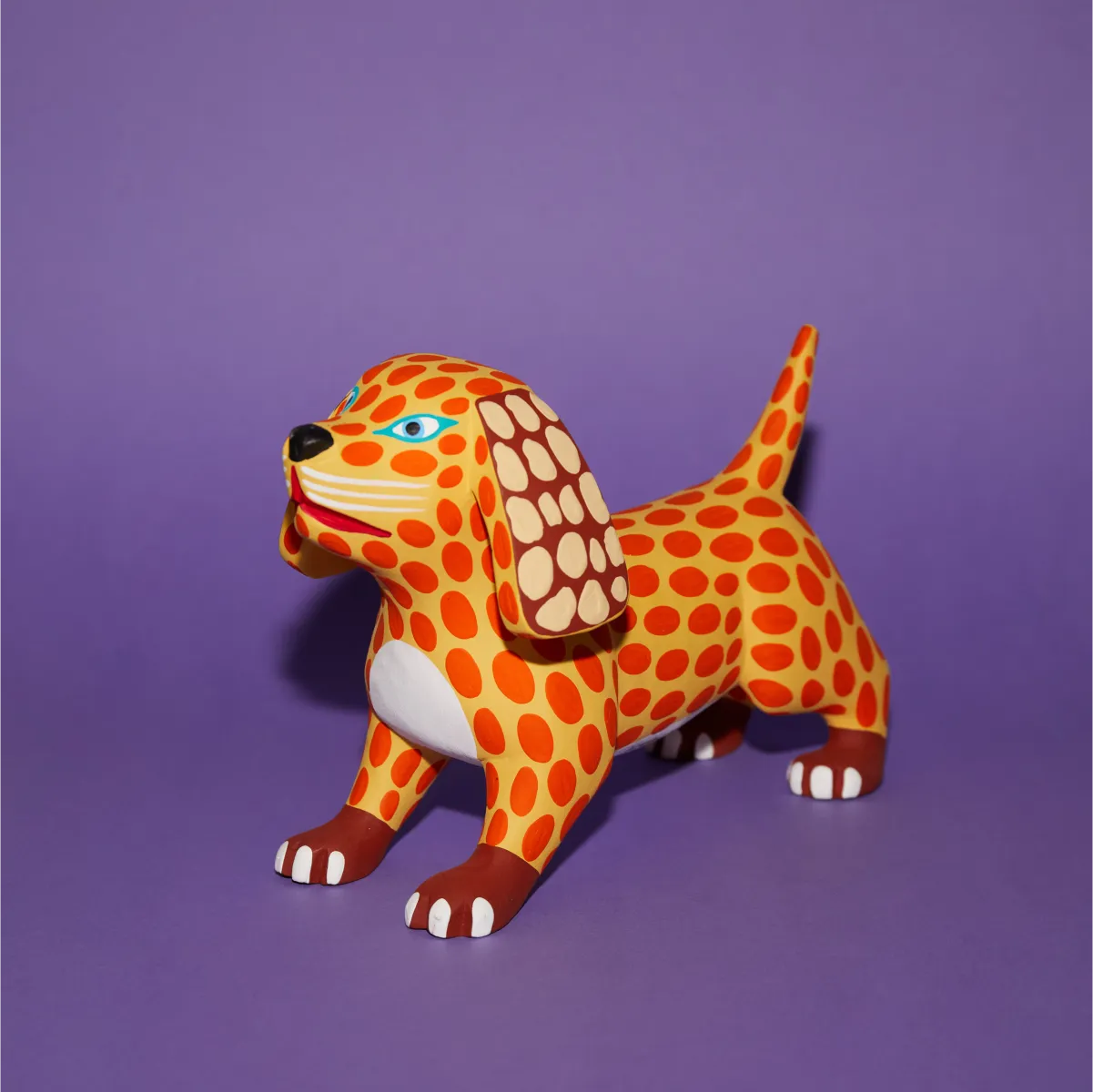 Perro Amarillo frontal