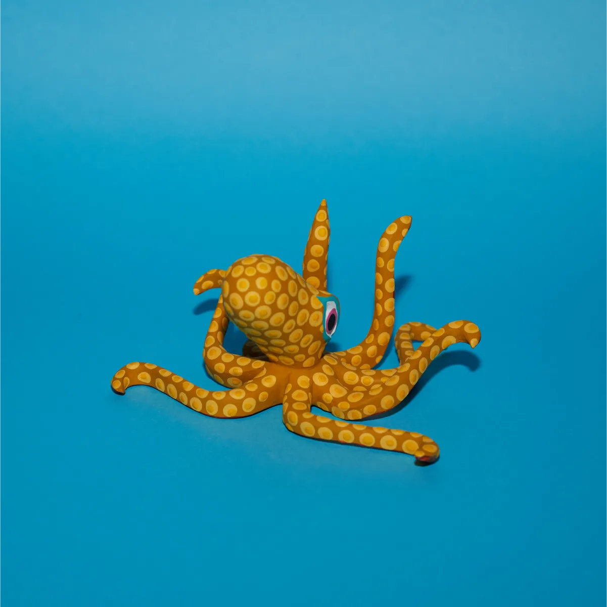 Pulpo amarillo trasera